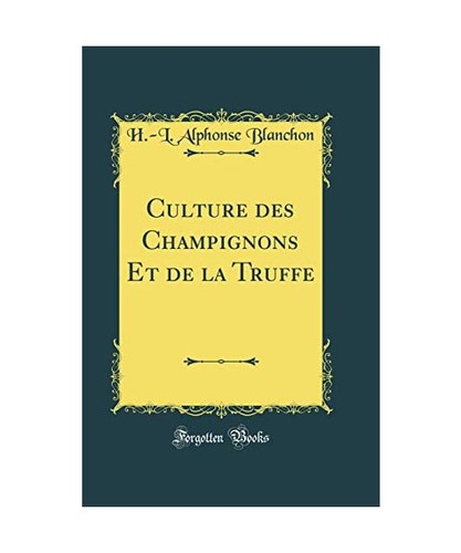 Culture des champignons de - champignons,