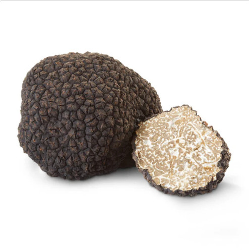 Tartufo nero estivo fresco - nero,