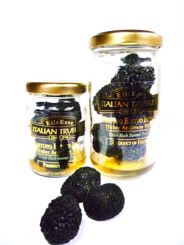 Tartufo nero estivo - tartufo,